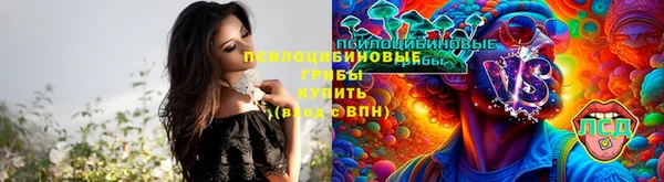 первитин Горняк