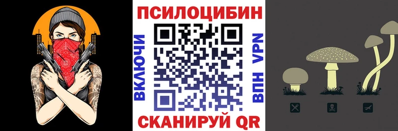 Купить закладки Таганрог Псилоцибиновые грибы мицелий
